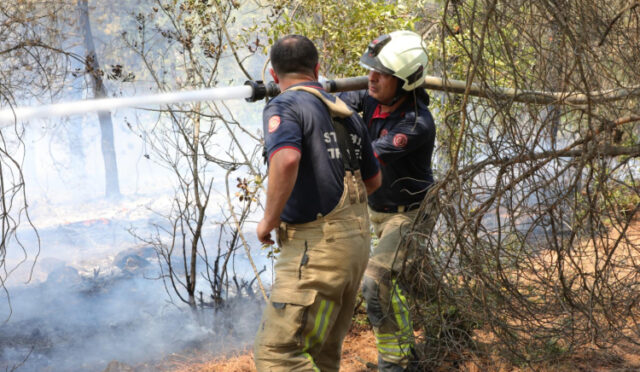 1753436109-bb-ek-pler-sakarya-ve-b-lec-k-te-orman-yanginlarina-m-dahale-deste-n-s-rd-r-yor-1-1753442304-287-x750