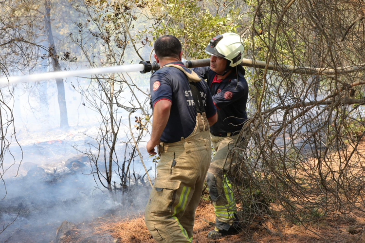 Sakarya ve Bilecik’teki yangınlara İBB seferberliği