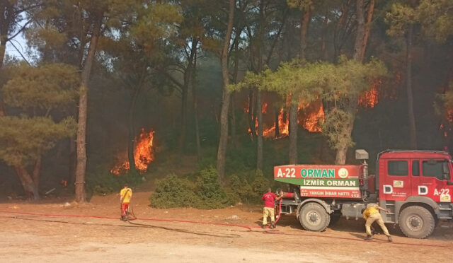 24-07-2025-2e20ac7a-657c-452c-995a-8a1164e4de73-1753383363-405-x750