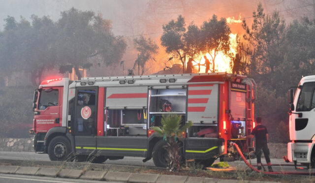 25-07-2025-3ff718b9-2ccf-4966-bbea-b8918877af89-1753425143-78-x750