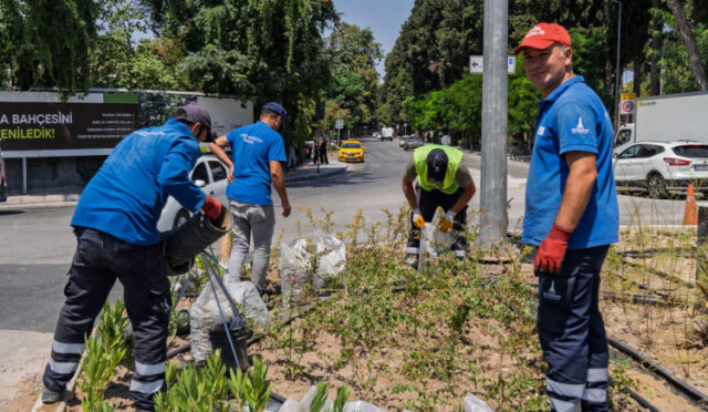 28-07-2025-0d591066-9019-4452-b847-d6da7a837ce1-1753684238-291-x750