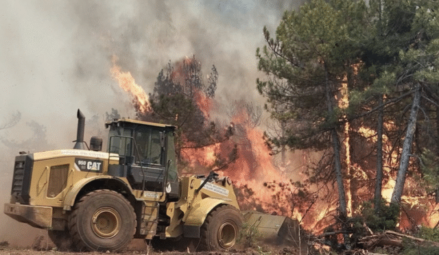 4a081478565f86880b855bad2ebfdb7170508de0-1753861960-961-x750