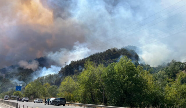 7-20-1753437908-469-x750