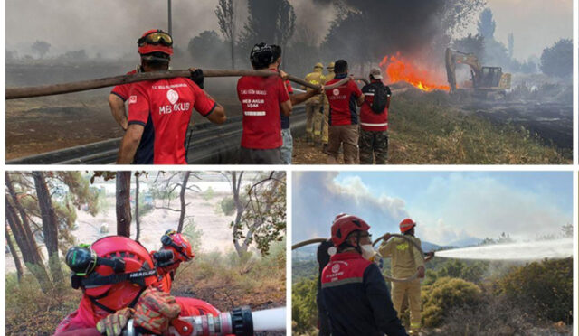 a448e9103526a9c0-1753857285-255-x750