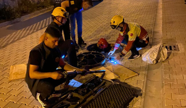 allccsehx8zczjlvzljornnvcm4cpratumpxlc9m-1752232134-607-x750