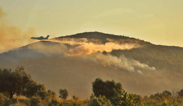 baskan-dutlulu-yangin-bolgesinde-incelemelerde-bulundu-4-1751786547-715-x750