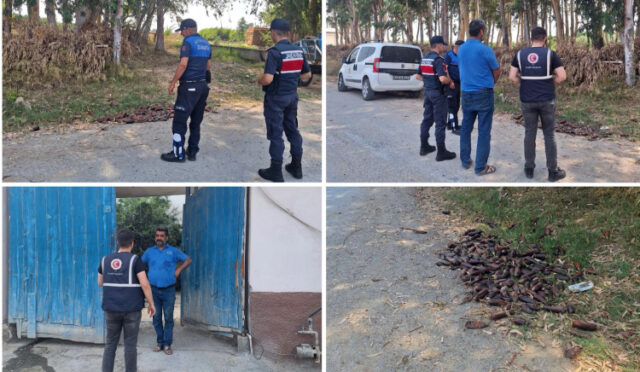 gw3qwcewiaafsav-1753690575-461-x750