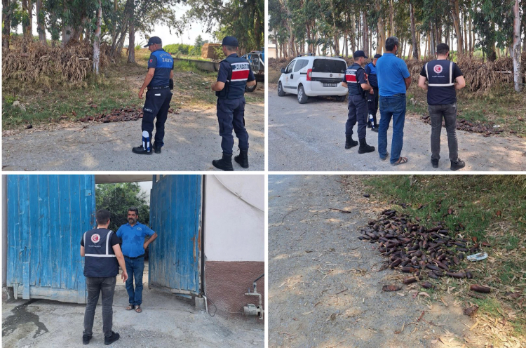 Mersin’de yere döktüğü 3. kalite patlıcanlar 17,2 milyon TL’ye patladı!