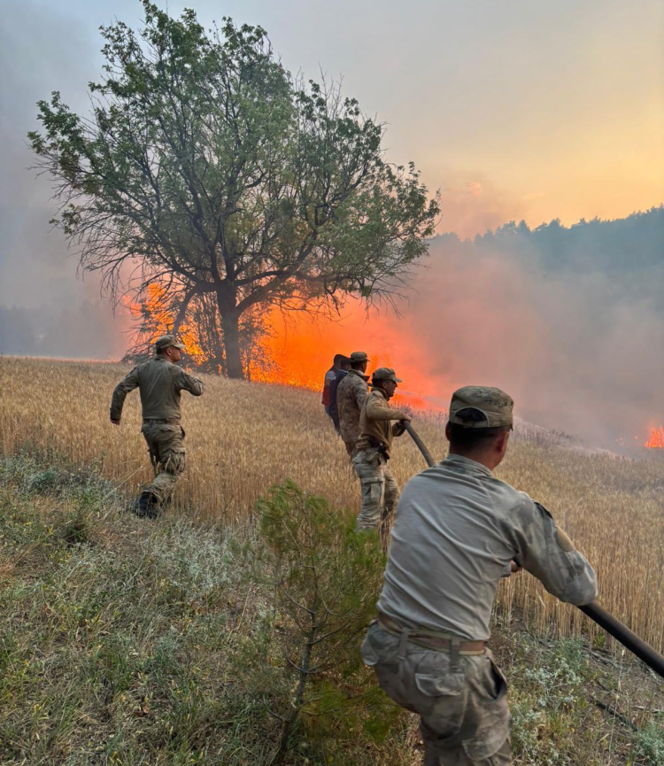 20 günde 61 orman yangınıyla ilgili 23 gözaltı!