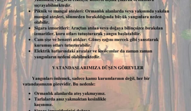 kaymakamlik-yangin-uyari-1751806369-118-x750