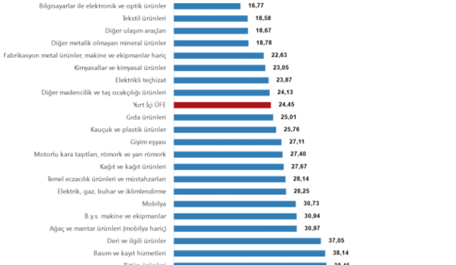 screenshot-2025-07-03-at-12-17-47-tuik-kurumsal-1751534305-595-x750