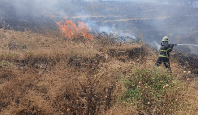 turgutlu-derbent-teki-yangin-buyumeden-sonduruldu-7-1752151239-416-x750