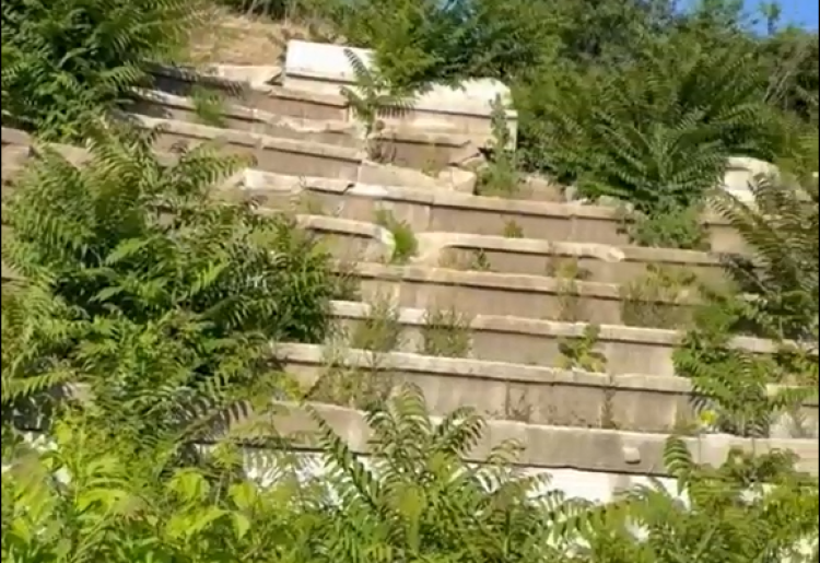 Vize Antik Kenti ilgisizlikle yok oluyor! Tarihi miras için acil çağrı!