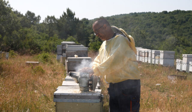 whatsapp-image-2025-07-02-at-15-41-33-1751466164-461-x750