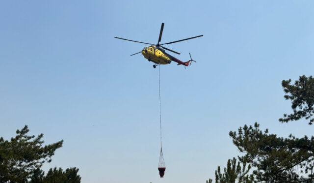 whatsapp-image-2025-07-28-at-19-07-09-2-1753721027-620-x750