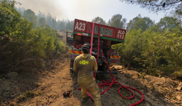 1756125770-ogm-orman-yangini-6-1756128409-889-x750