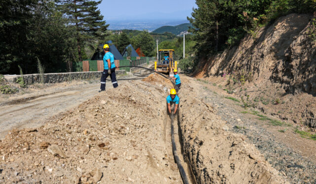 4-1754489691-599-x750