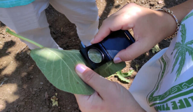 524353053-1056055133383986-4914362132869666151-n-1754064656-392-x750