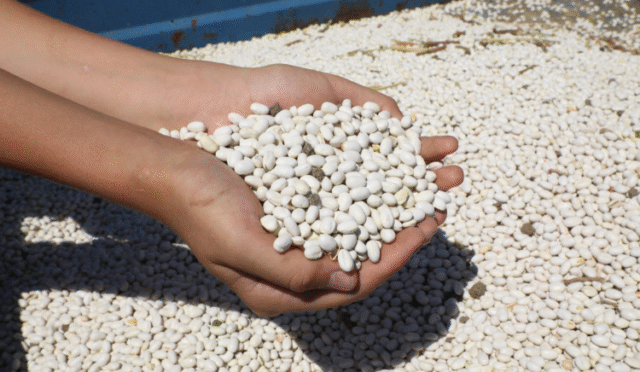 56d751f1d2147a9bb91c71c188677901de42c51c-1755513455-598-x750