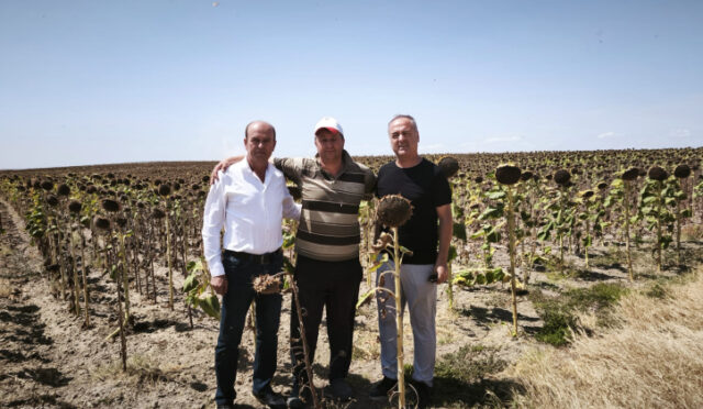 8c37971b-da79-4379-9a21-d18844f618f9-1755505611-765-x750