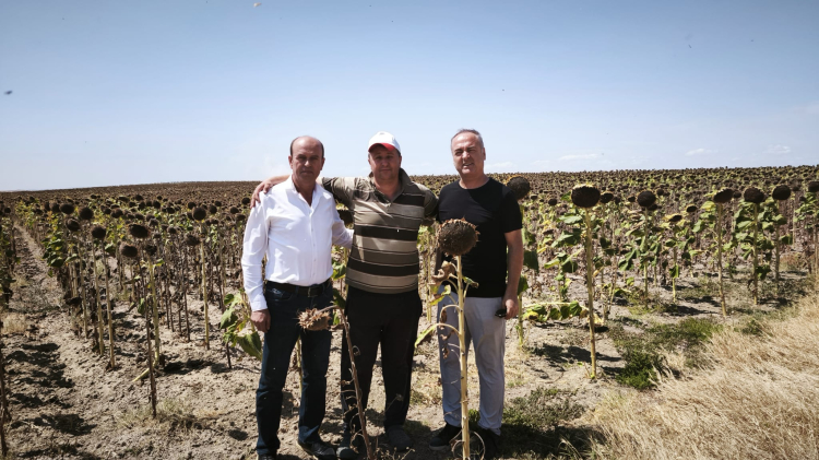 İpsala CHP’li Meclis Üyeleri: Ayçiçeğinde fiyat revize edilmeli