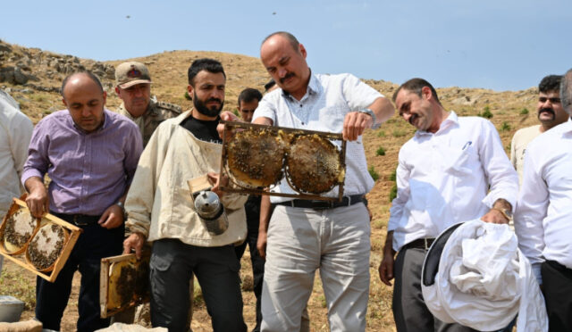 cobett-1754044595-214-x750