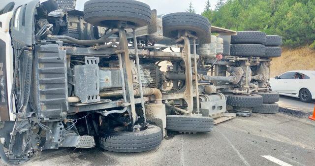 e8314bb9-c877-4364-8eed-20b4ed22f939-1755705769-253-x750