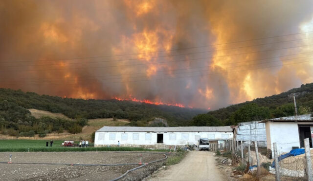 gzdbtkixgaatddm-1756402755-315-x750