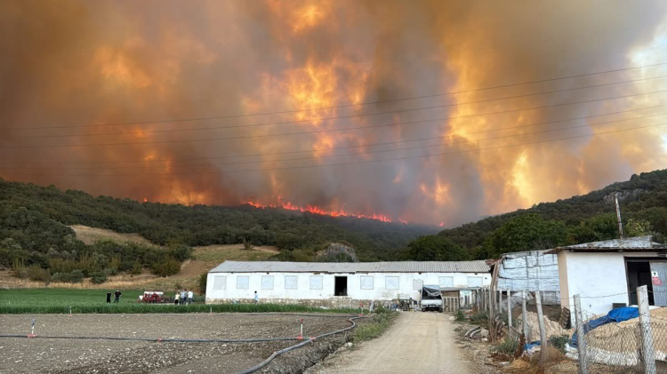 Bursa Yenişehir’de orman yangınına yoğun müdahale