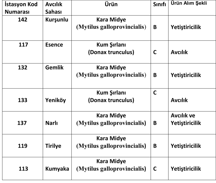 Bursa’da avcılığa açık kum şırlanı ve kara midye alanları belirlendi