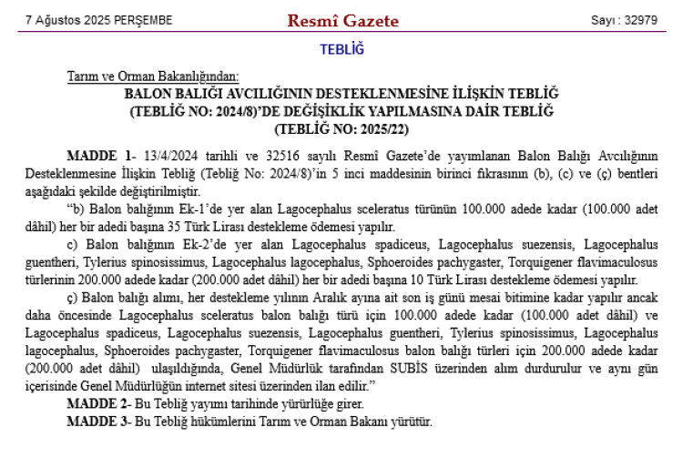 Balon balığı avcılığına yeni destek… Ödemeler artıyor!