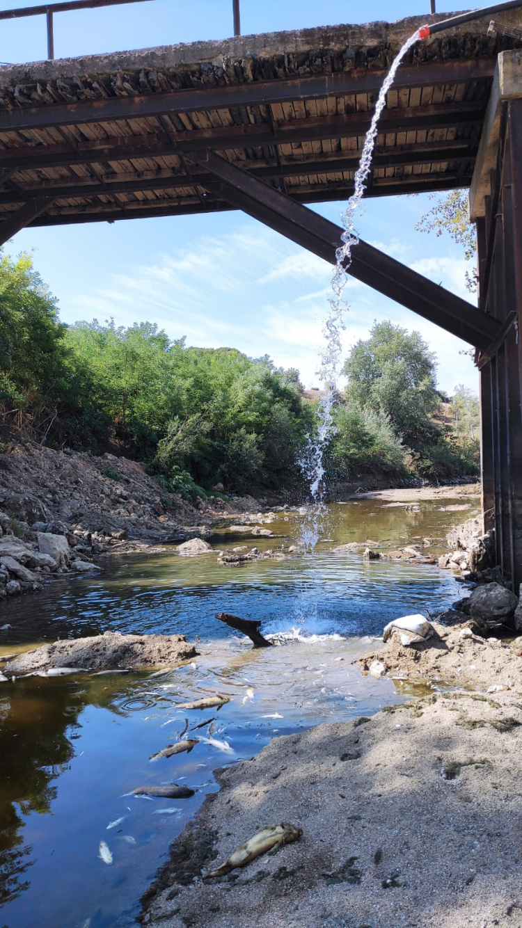 Bursa Yenişehir’de kuruyan derede yavru balıklar için umut oldular