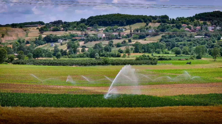 Kocaeli’de tarımsal verim arttı… Kandıra yeşil vadiye dönüştü