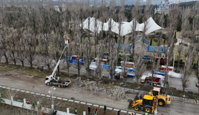 Eskişehir Sazova Bilim Kültür ve Sanat Parkı'nda ağaç gençleştirme ve yenileme çalışması