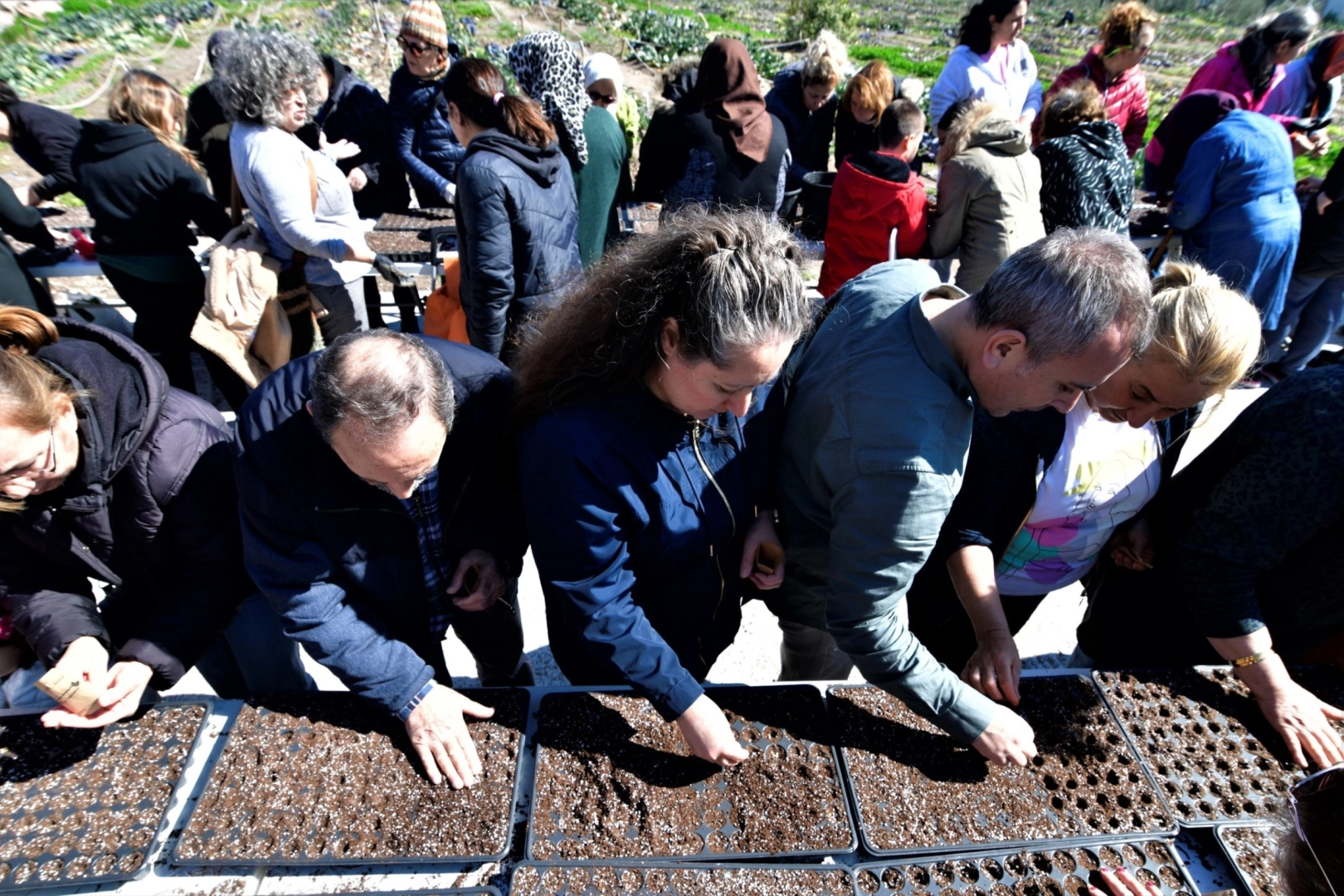 Bornova’da Kadın Üreticiler Kent Bostanlarında Toprakla Buluştu: Yerel Tohumlar Yeşeriyor