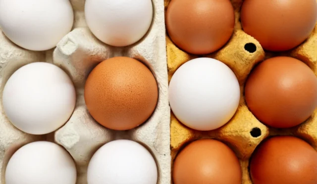 Yumurta satış limitlerinin artırıldığına dair yeni yönetmelik hakkında haber görseli