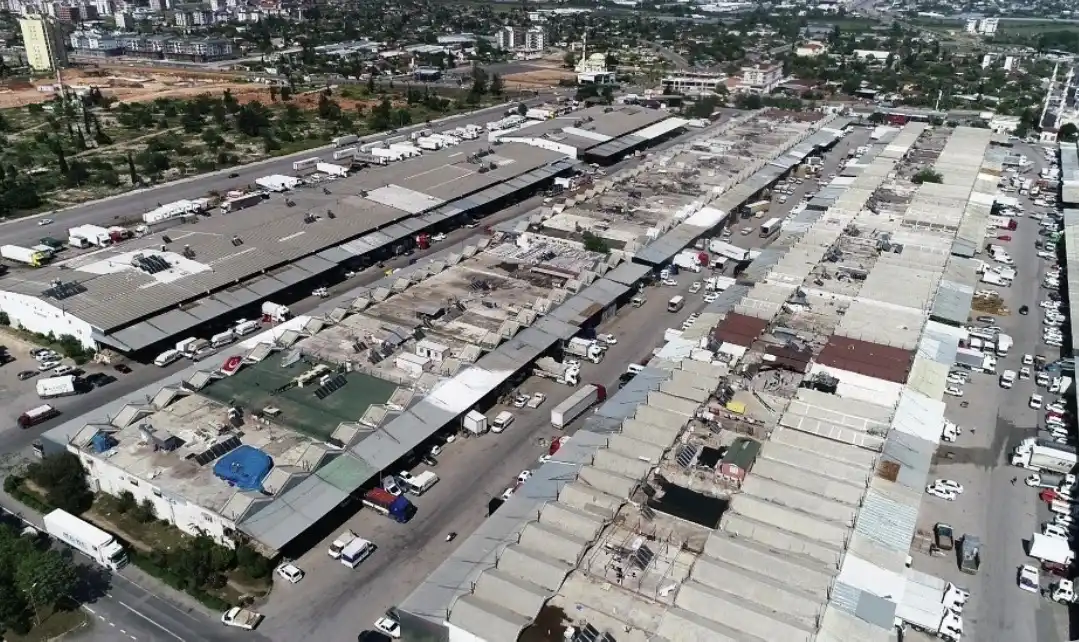 Antalya Hali’nden 64 Ülkeye Büyük İhracat: Tarımın Kalbi Dünya Pazarına Açılıyor