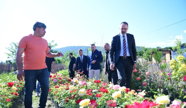 Kestel Belediyesi süs bitkileri üreticilerine destek veriyor