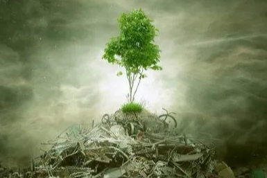 Çevre, Şehircilik ve İklim Değişikliği Bakanlığı'nın güncellediği ÇED Yönetmeliği'ni gösteren görsel.