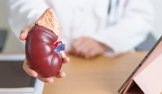 Dünya Böbrek Günü kapsamında kronik böbrek hastalığına dikkat çekildi, 850 milyon kişiyi etkileyen hastalık.