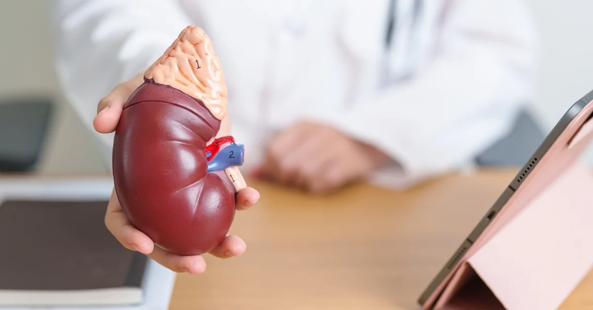 Dünya Böbrek Günü: 850 Milyon Kişiyi Tehdit Eden Kronik Böbrek Hastalığına Dikkat Çekildi