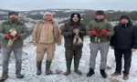 Eskişehir'de tedavi edilen yırtıcı kuşların doğaya salınma anı