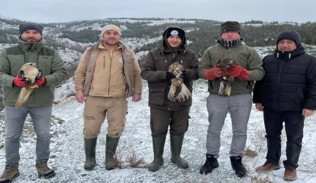 Eskişehir'de tedavi edilen yırtıcı kuşların doğaya salınma anı