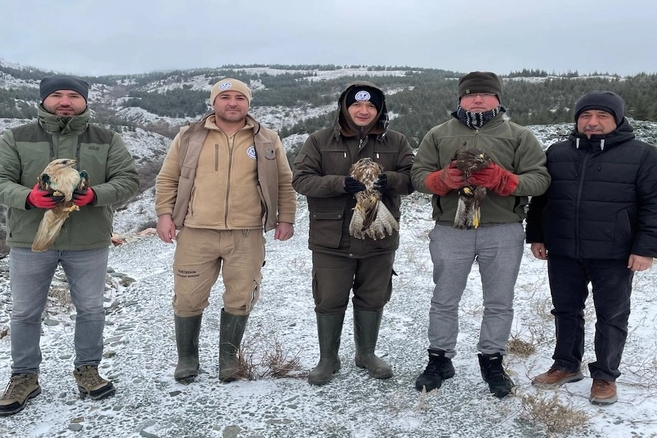 Eskişehir’de Umut Dolu Anlar: Tedavi Edilen Yırtıcı Kuşlar Doğaya Yeniden Kanat Açtı