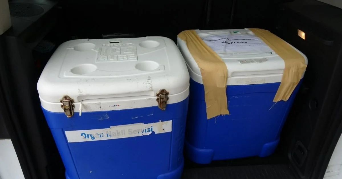 Genç Kadının Organ Bağışı Üç Hastaya Umut Oldu: Hayat Kurtaran Harekete Duygusal Veda