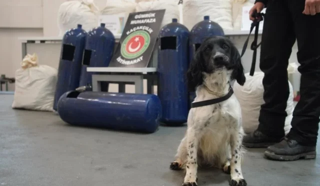 İpsala Gümrüğü'nde narkotik dedektör köpeklerinin yardımıyla 35 kilo skunk maddesi ele geçirildi.