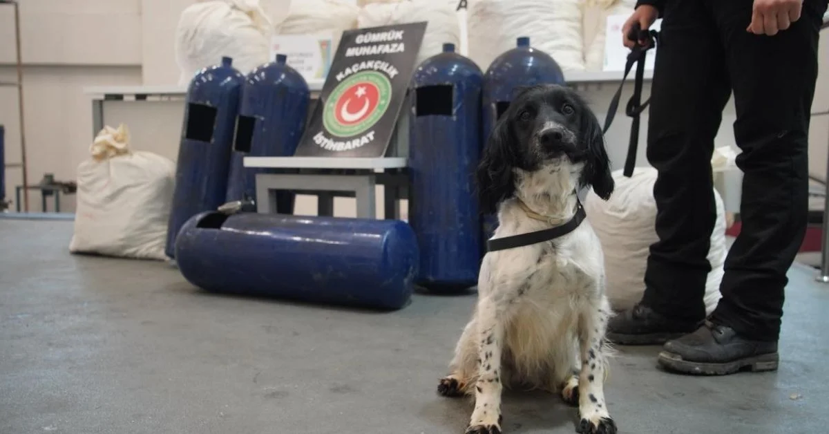 İpsala Gümrüğü’nde Burunların Hassasiyeti: 35 Kilo Uyuşturucu Ele Geçirildi