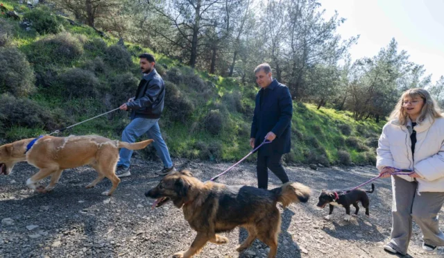 İzmir Büyükşehir Belediye Başkanı Dr. Cemil Tugay, Pako Bakımevi'ni ziyaret ederek sokak hayvanları için çağrıda bulunuyor.