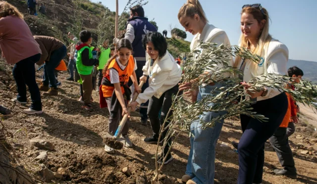 İzmir Güzelbahçe'de 1000 zeytin fidanı toprakla buluştu