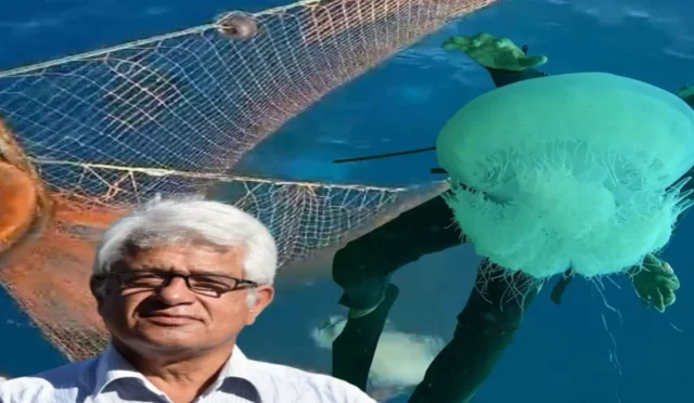 Kaş'ta balıkçı ağlarına takılmış dev denizanası